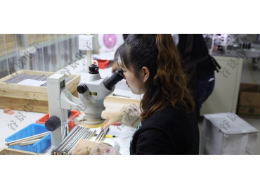 關(guān)于屏蔽電感和非屏蔽電感的不同你了解多少